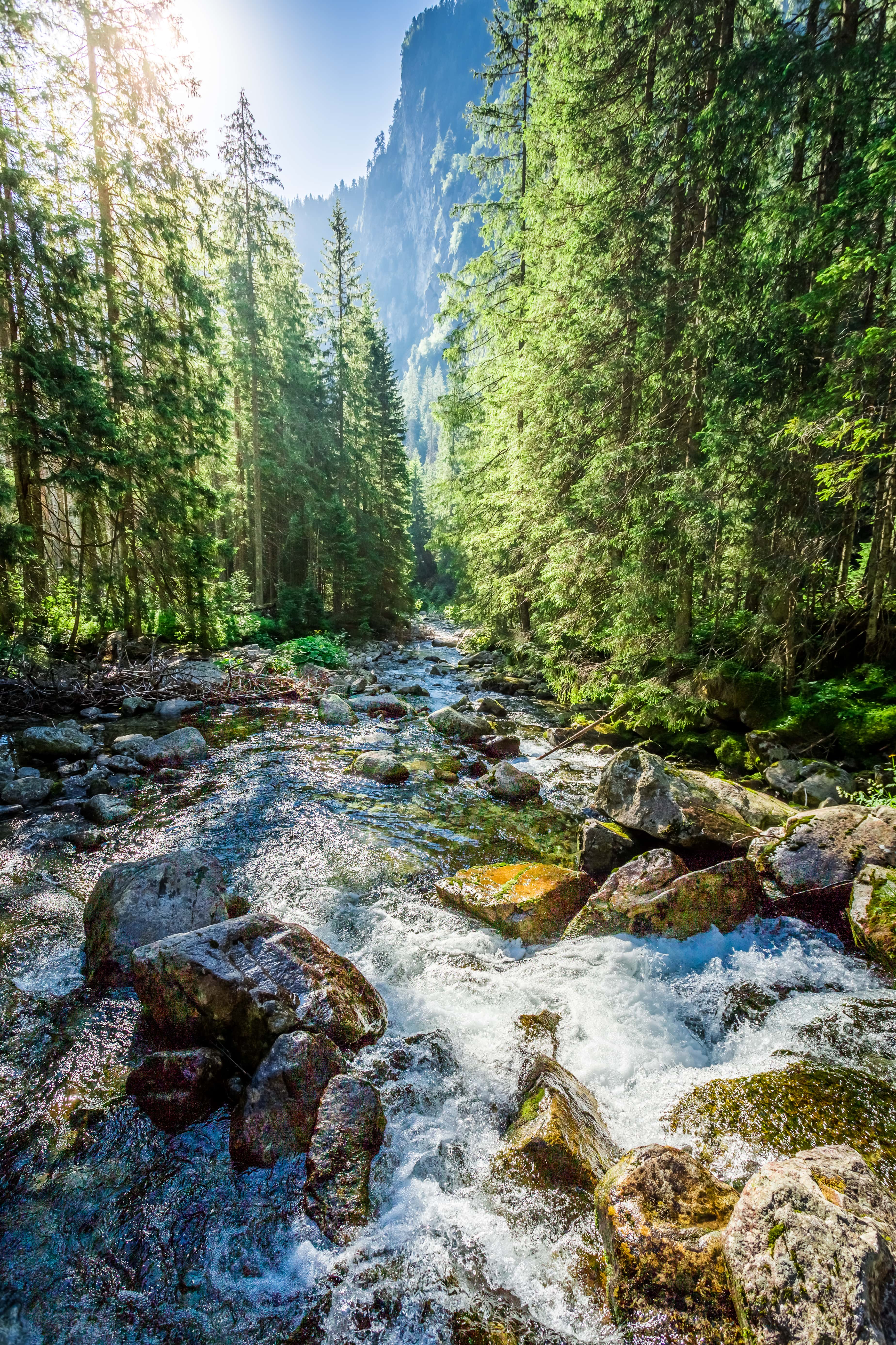 mountain-stream-flowing-out-of-the-mountains-2023-11-27-05-23-26-utc-min